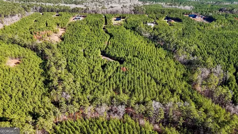 375 Bagley, Forsyth, GA 31029