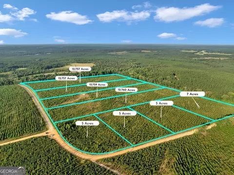 Parcel 5 Carl Rodgers Road, Reynolds, GA 31076