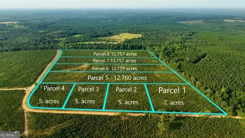 Parcel 6 Carl Rodgers Road, Reynolds, GA 31076