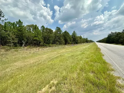 0 Highway 46, Twin City, GA 30471