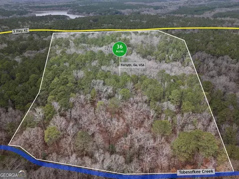 0 S 42 Hwy, Forsyth, GA 31029