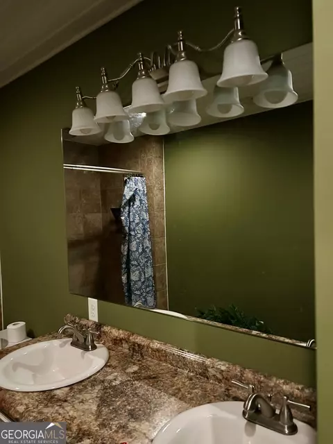 Bath - 201 Claude Anderson Rd, Claxton, GA 30417 photo 1 of 4