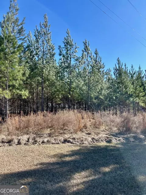 Other - 201 Claude Anderson Rd, Claxton, GA 30417 photo 10 of 14