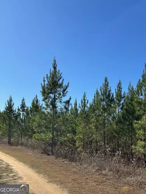 Other - 201 Claude Anderson Rd, Claxton, GA 30417 photo 13 of 14