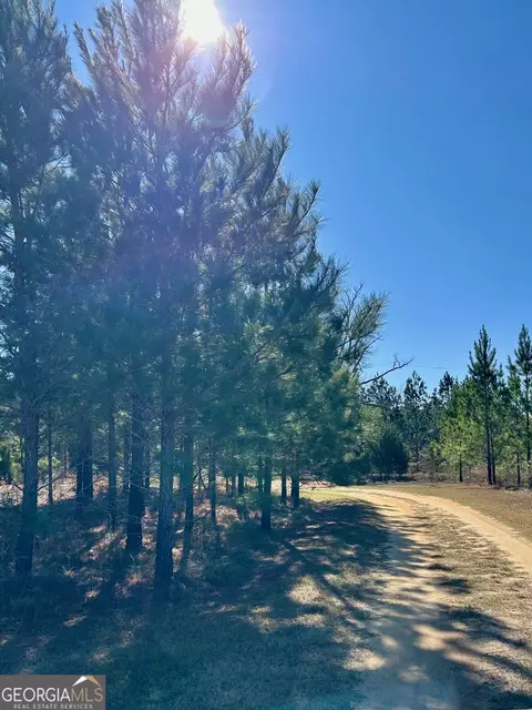 Other - 201 Claude Anderson Rd, Claxton, GA 30417 photo 11 of 14