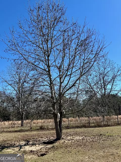 Exterior - 201 Claude Anderson Rd, Claxton, GA 30417 photo 3 of 12