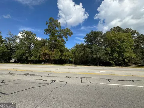 0 Golden Isles Hwy, Lumber City, GA 31549