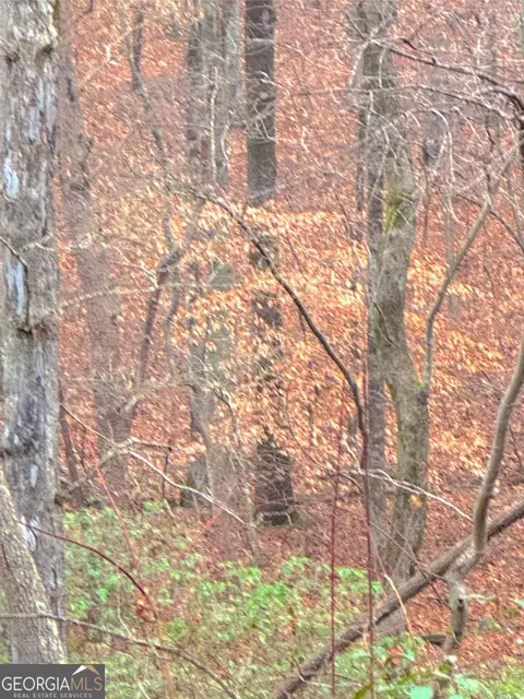 0 Crooked Crk, Jasper, GA 30143