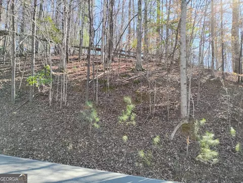2090 Newport Drive #2090R, Ellijay, GA 30540