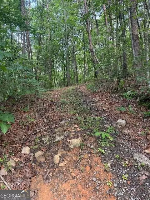 10 96 Ac Paramount Trl, Ellijay, GA 30536