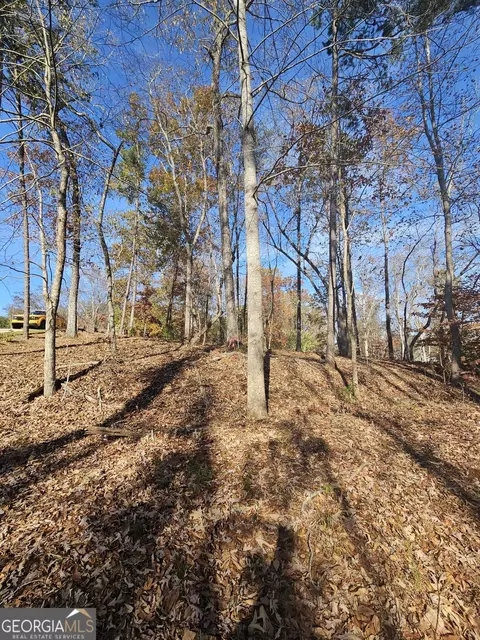 173 Edgewater Trl S, Toccoa, GA 30577 photo 5