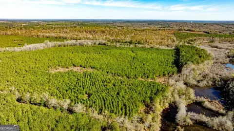 0 Mead Rd Cemetery Rd, Ideal, GA 31041