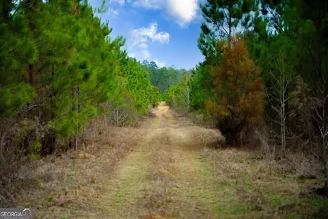 0 Mead Rd Cemetery Rd, Ideal, GA 31041 photo 18