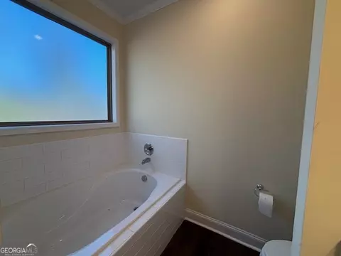 Bath - 1234 Stapleton Acres Rd, Stapleton, GA 30823 photo 3 of 4