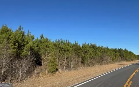 lot5 Whitfield Rd, Elko, GA 31025