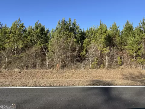lot5 A Whitfield Rd, Elko, GA 31025