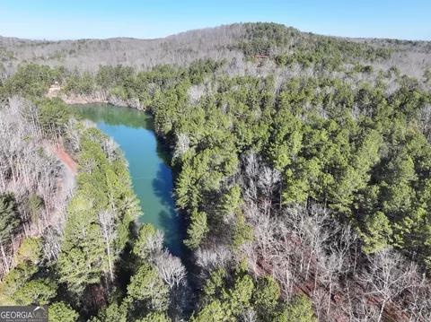 15 Acres On E Hermitage Rd, Kingston, GA 30145