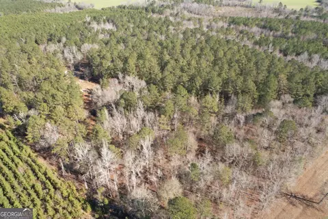 675 Jackson Rd, Wrightsville, GA 31096