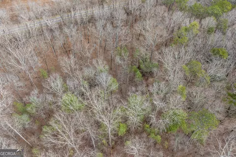 0 Cowart Mountain Tract 1 Rd, Jasper, GA 30143 photo 9