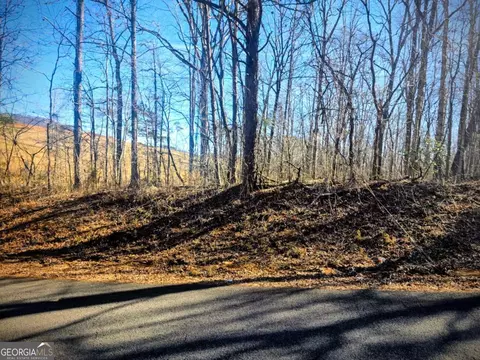 0 Cowart Mountain Tract 1 Rd, Jasper, GA 30143 photo 4