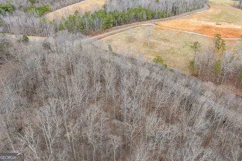 0 Cowart Mountain Tract 1 Rd, Jasper, GA 30143 photo 7