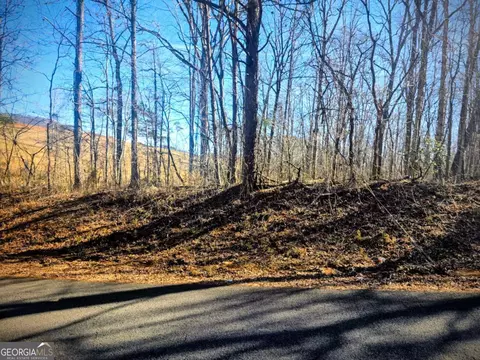 0 Cowart Mountain Tract 1 Rd, Jasper, GA 30143 photo 3