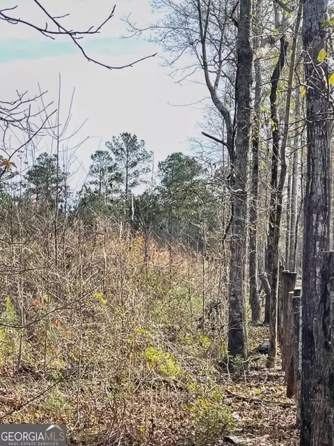 0 Zebulon Rd, Milner, GA 30257