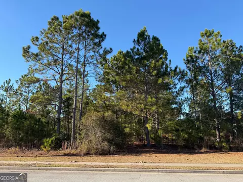 0 Weeping Willow Dr, Hinesville, GA 31313