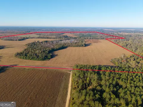 2 S Hwy 17, Wadley, GA 30477