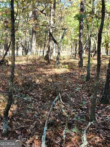0 Pine Ridge Rd, White, GA 30184 photo 2