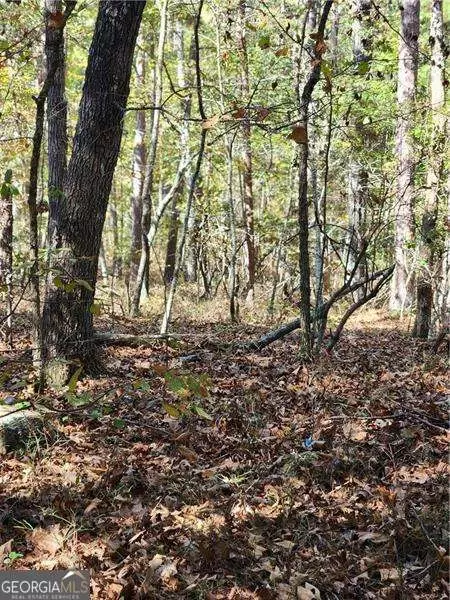 0 Pine Ridge Rd, White, GA 30184 photo 3
