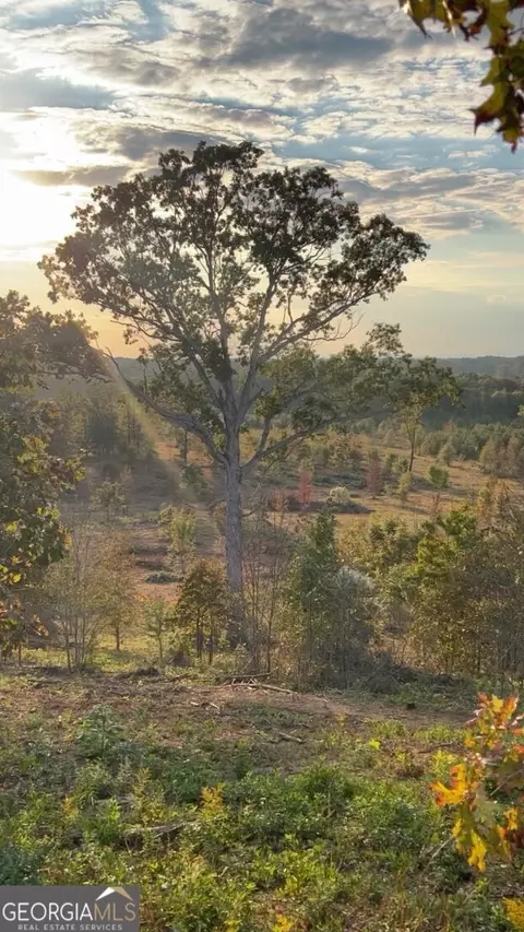 1590 Buttermilk Rd SW, Cave Spring, GA 30124