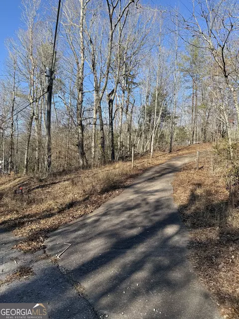 196 Mount Pleasant Church Rd, Cleveland, GA 30528