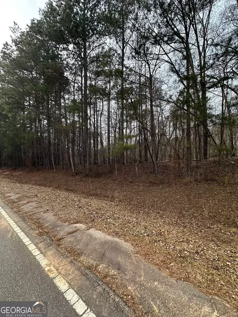 0 Tussahaw Point Dr, Jackson, GA 30233 photo 2