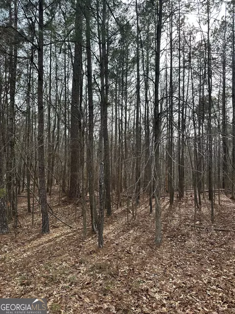 0 Tussahaw Point Dr, Jackson, GA 30233
