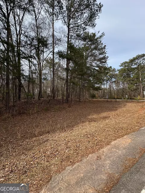 0 Tussahaw Point Dr, Jackson, GA 30233 photo 3