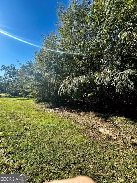 0 Brookhaven Dr, Dublin, GA 31021 photo 3
