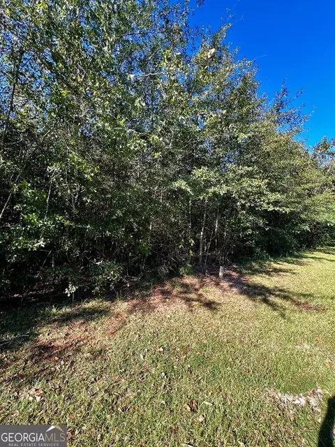 0 Brookhaven Dr, Dublin, GA 31021 photo 2