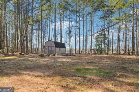 Exterior - 137 W James Cir, Hampton, GA 30228 photo 11 of 14