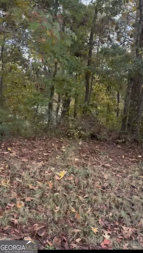 0 Blacks Bluff Rd, Cave Spring, GA 30124