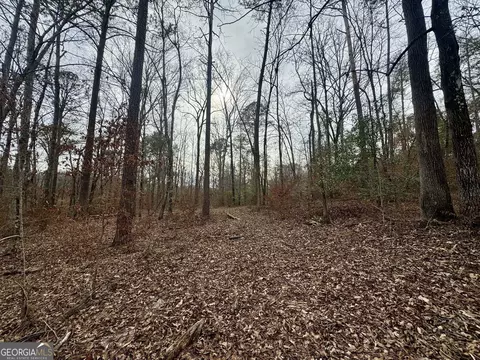 0 Hatchee Ridge Rd, Dublin, GA 31021 photo 5