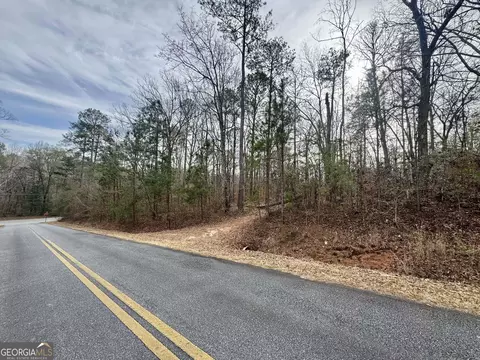 0 Hatchee Ridge Rd, Dublin, GA 31021 photo 4