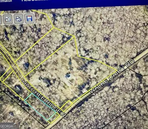 0 Hatchee Ridge Rd, Dublin, GA 31021 photo 10