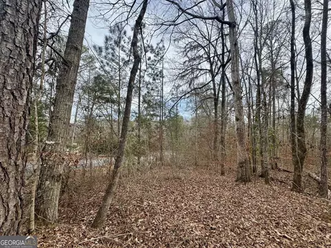 0 Hatchee Ridge Rd, Dublin, GA 31021 photo 6