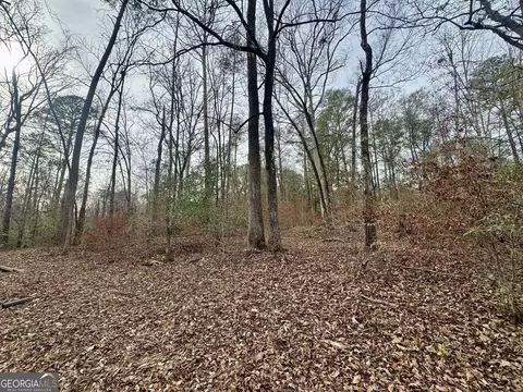 0 Hatchee Ridge Rd, Dublin, GA 31021 photo 8