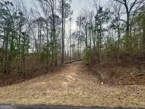 0 Hatchee Ridge Rd, Dublin, GA 31021 photo 3