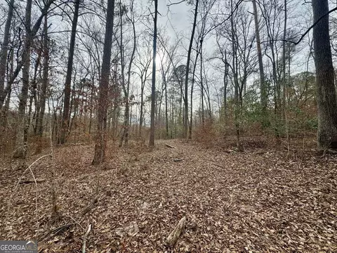 0 Hatchee Ridge Rd, Dublin, GA 31021 photo 7