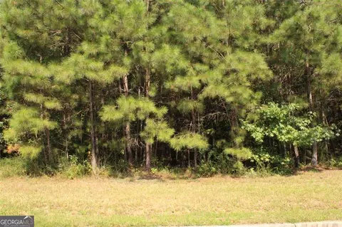 7699 Cheviot Dr, Winston, GA 30187 photo 8