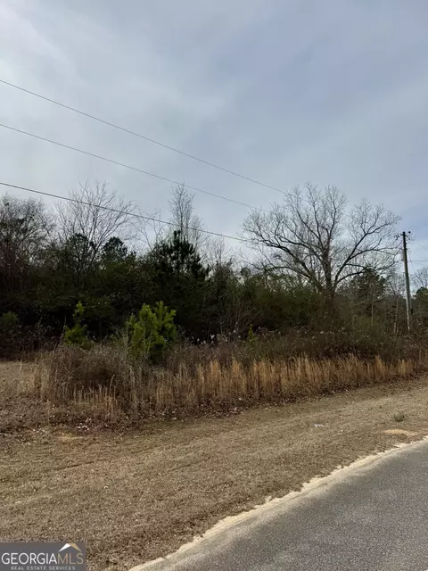 0 Mathis Rd, Sandersville, GA 31082
