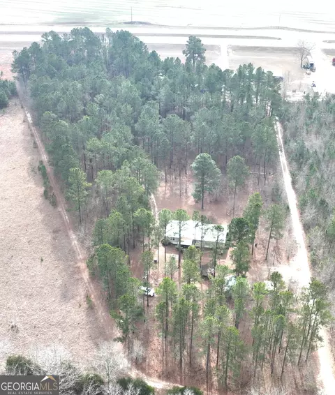 View/Area - 5500 Ga Highway 88 W, Stapleton, GA 30823 photo 1 of 1